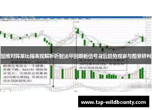 加维对阵莱比锡表现解析折射法甲回暖新信号背后趋势观察与前景研判